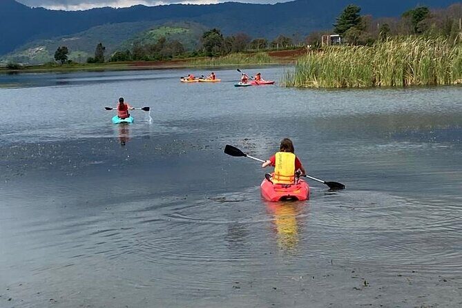 Umecuaro All Inclusive Tour and Guided Tours in Morelia - Who Will Love This Tour?