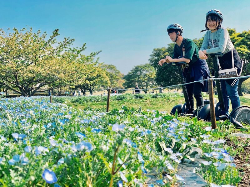 Uminonakamichi Seaside Park Segway Tour in Fukuoka - Why a Segway makes sense in Uminonakamichi