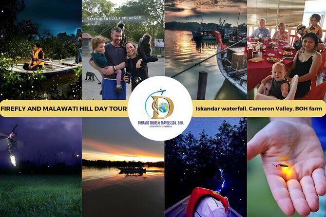 Unbelievable Firefly Kuala Selangor Day Tour - Who Should Consider This Tour?