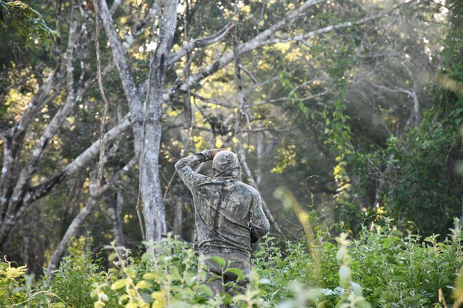 Uncharted Mayan Ruins - A Thorough Look at the Itinerary