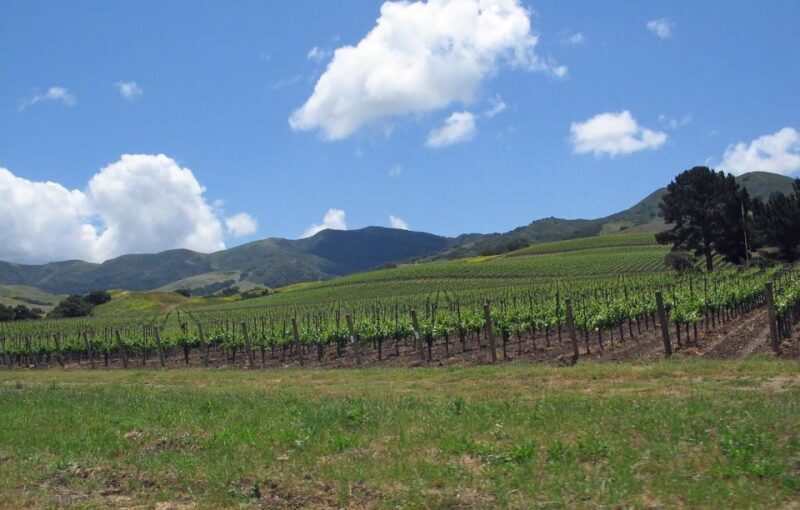 Uncork Santa Barbara: A Private Wine Country Tour - FAQ
