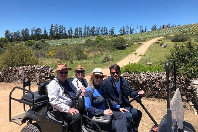 Uncover a Secluded Vineyard for Lunch - Who Should Consider This Tour?