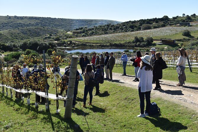 Uncover a Secluded Vineyard for Lunch - FAQs