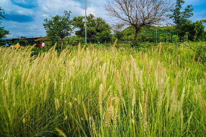 Uncover Hidden Treasures of Rural Life on a Village Tour - Why the Price Offers Good Value