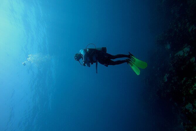 Under a sea of adventures, unforgettable diving. - Under a Sea of Adventures, Unforgettable Diving in Cartagena