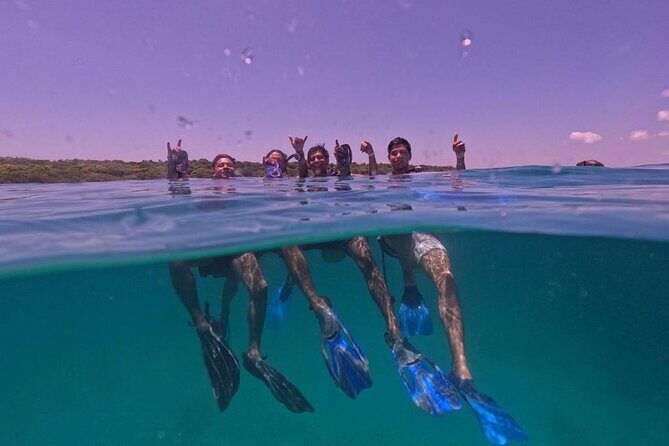 Under a sea of adventures, unforgettable diving. - Key Points