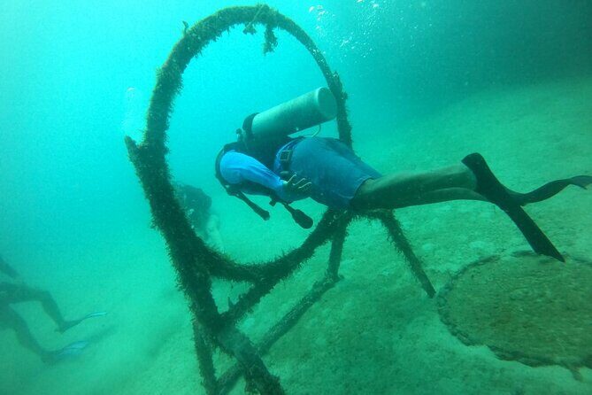 Under a sea of adventures, unforgettable diving. - Who Is This Tour Best For?