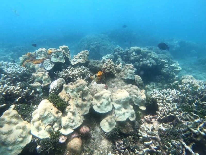 Under the depths: Dive into the diving adventure - The Itinerary Breakdown