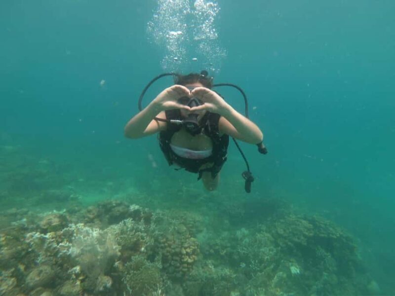 Under the depths: Dive into the diving adventure - Safety, Comfort, and Practicalities