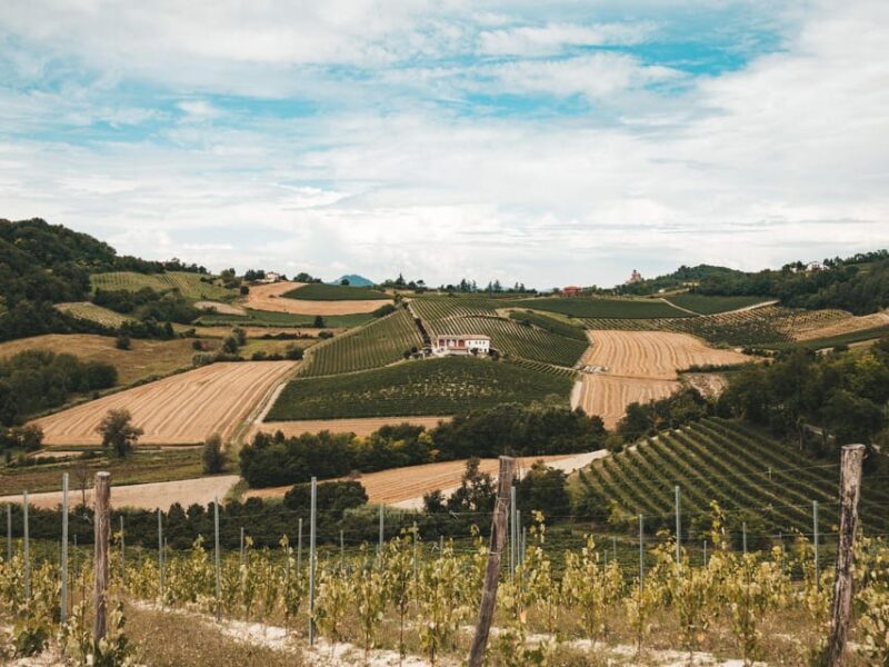 Underground Cave Visit with Food & Wine Tasting near Asti - The Value of the Experience