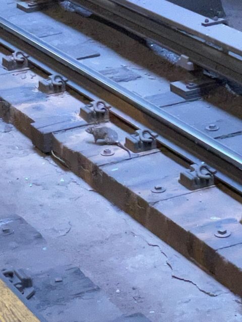 Underground New York City Subway Tour - FAQ