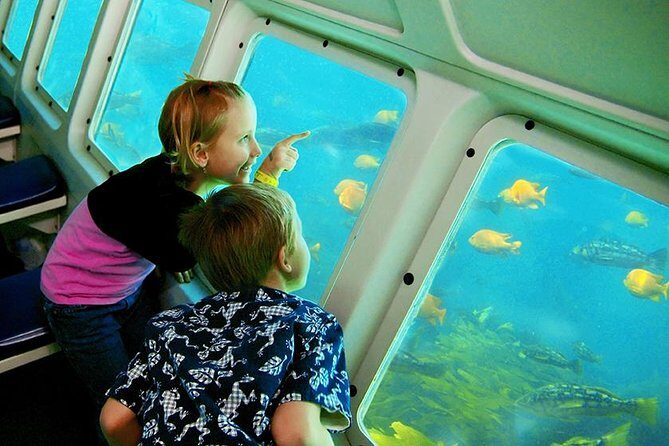 Undersea Expedition: Catalina Island Tour - Authentic Reviews Reflecting the Experience