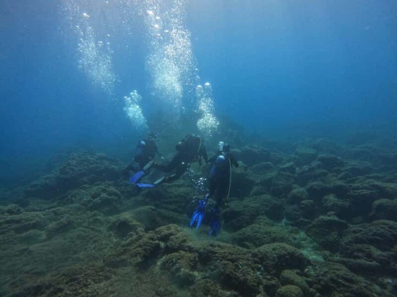 Underwater Archaeological Tour: Acicastello (CT) - An In-Depth Look at the Underwater Archaeological Tour
