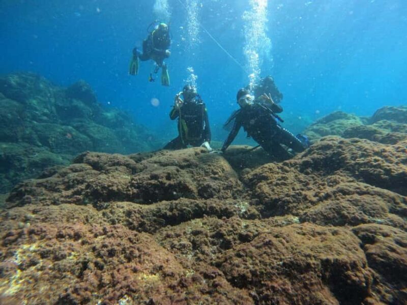 Underwater Archaeological Tour: Acicastello (CT) - Who Will Love This Tour?