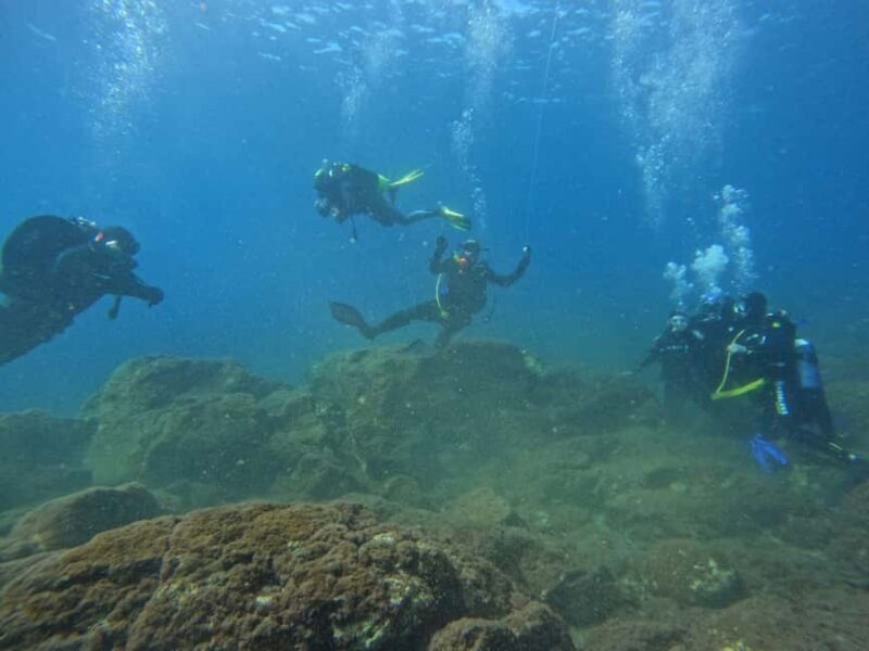Underwater Archaeological Tour: Acicastello (CT) - The Sum Up