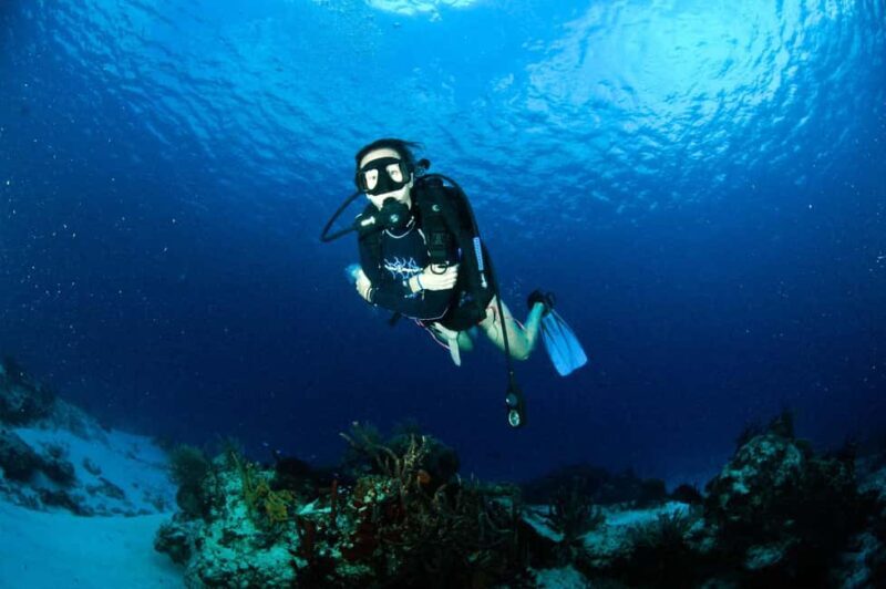 Underwater Museum Musa : SCUBA DIVING FOR BEGINNERS - A Closer Look at the Tour Experience