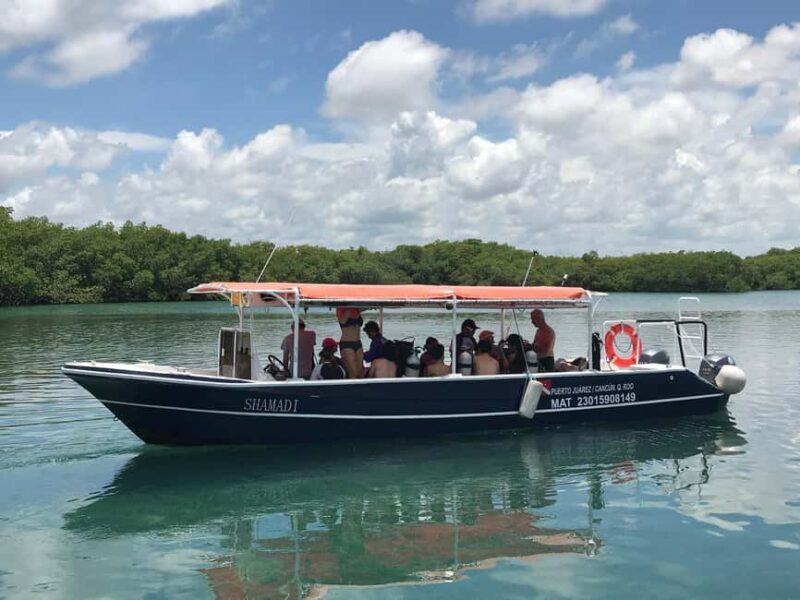 Underwater Museum Musa : SCUBA DIVING FOR BEGINNERS - Frequently Asked Questions