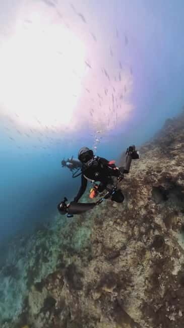 Underwater Photography Course - Who Will Love This Experience