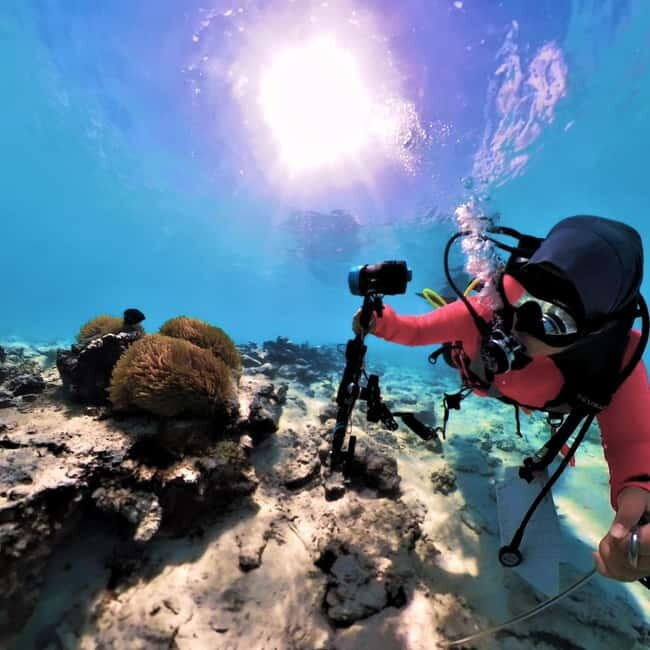 Underwater Photography Course - FAQ