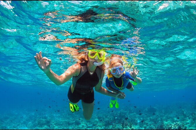 Underwater Sculpture Park Snorkel Adventure - A Closer Look at the Underwater Sculpture Park Snorkel Adventure