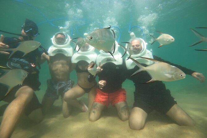 Underwater Sea Trek in San Juan: Explore Beneath the Waves - Final Thoughts: Who Is This Tour For?