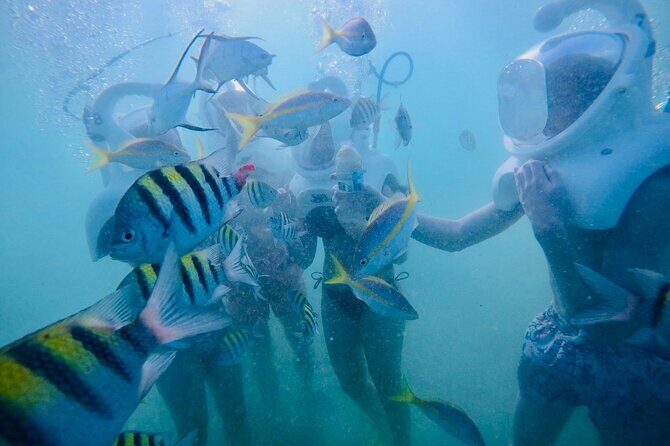 Underwater Sea Trek in San Juan: Explore Beneath the Waves - Frequently Asked Questions