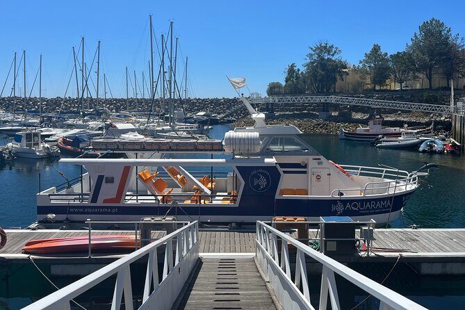Underwater viewing tours along the coast of Sesimbra - Practical Considerations