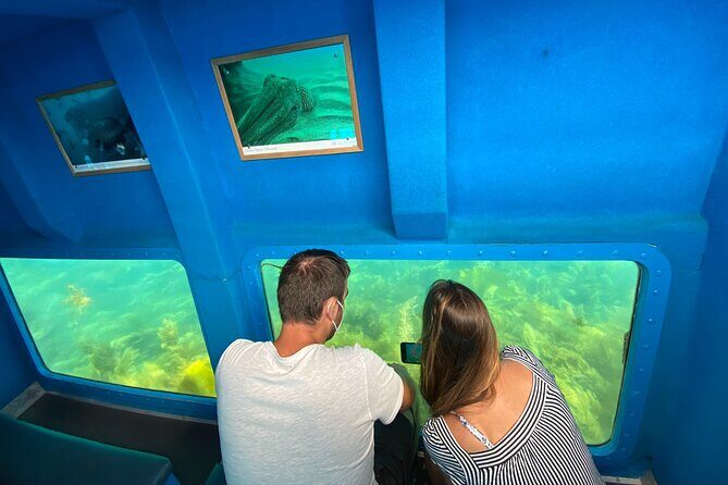 Underwater viewing tours along the coast of Sesimbra - Authentic Reviews: Bringing it to Life