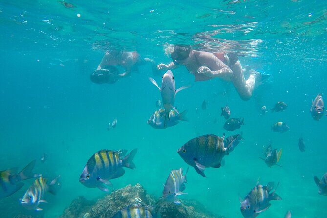 Underwater Wonders Snorkeling Adventure - Key Points