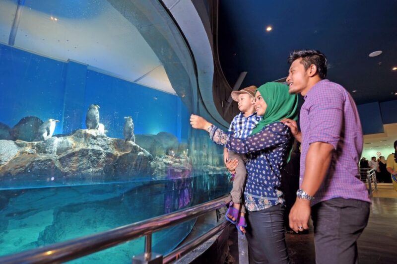 Underwater World Langkawi Admission Ticket - Exploring Underwater World Langkawi: A Closer Look