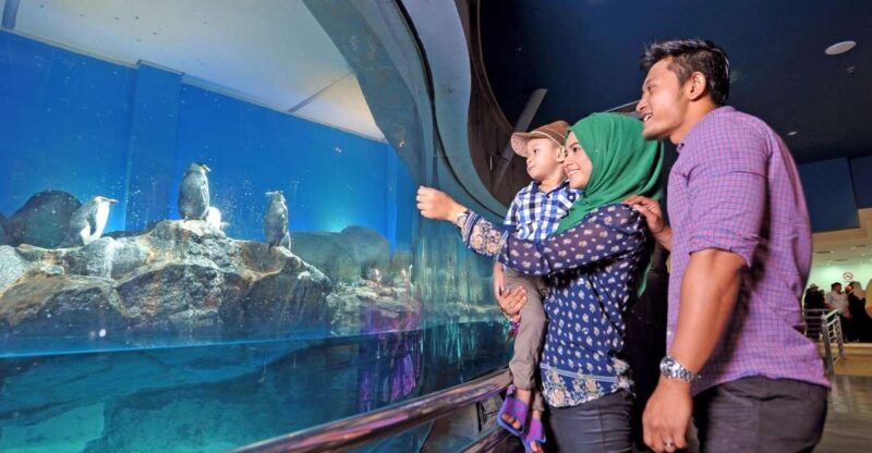 Underwater World Langkawi Admission Ticket - Key Points