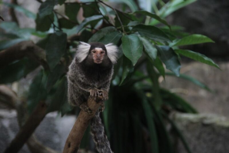 Underwater World Langkawi Admission Ticket - FAQs