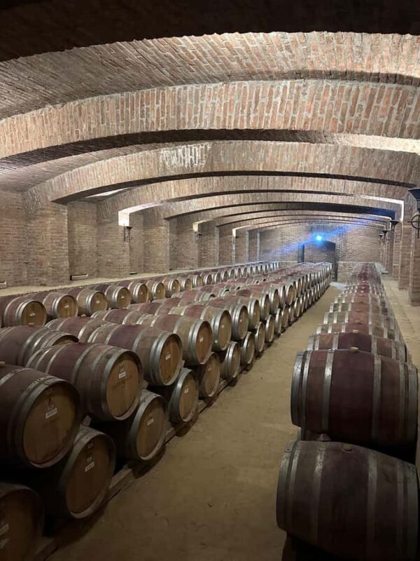 Undurraga + Isla Negra + San Afonso del Mar ----- Full day - What We Appreciated Most