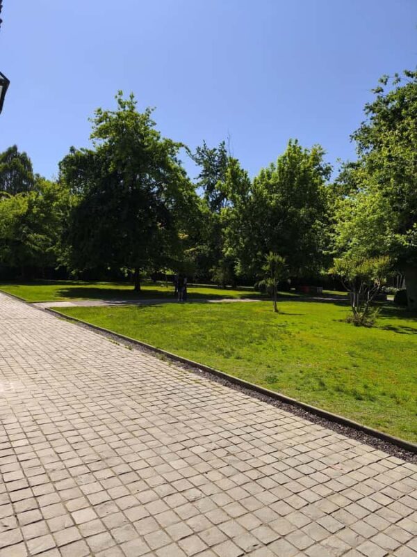 UNDURRAGA VINEYARD - Key Points