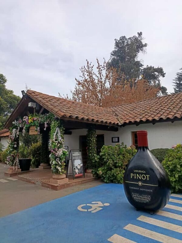 UNDURRAGA VINEYARD - Exploring the Undurraga Vineyard Experience