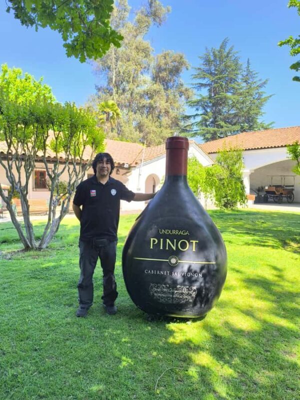 UNDURRAGA VINEYARD - Authenticity, Value & Practical Tips