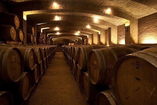 Undurraga Wine Tasting Tour from Santiago - Key Points