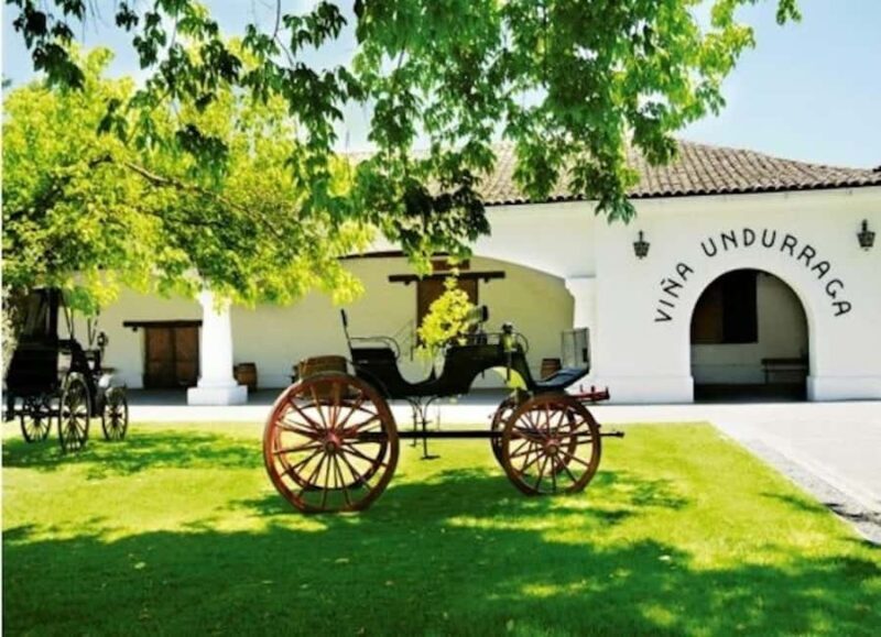 Undurraga Wine tour - Pricing and Value