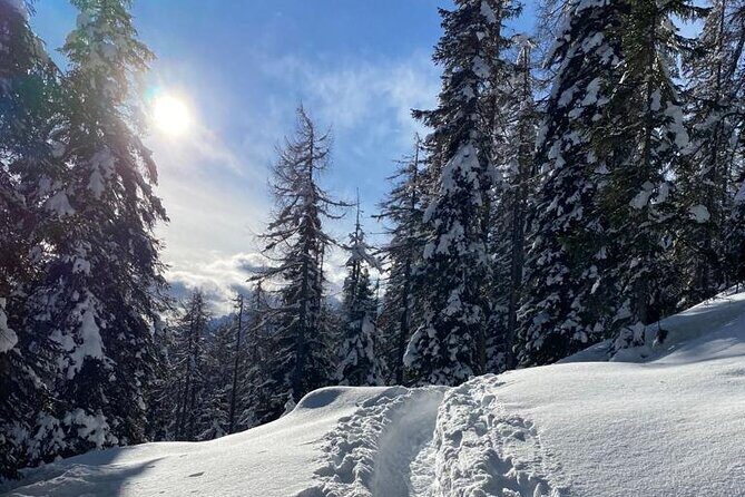 UNESCO Dolomites great expedition from Venice by Yellowboot - Who Is This Tour Best For?