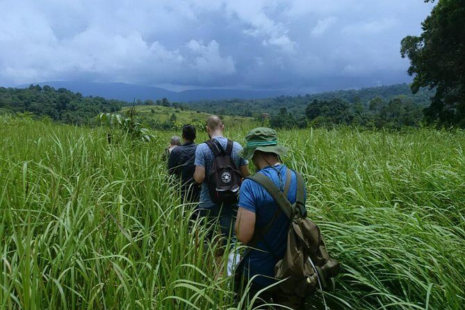 UNESCO Khao Yai National Park Adventure: Hiking & Waterfalls - The Full Experience: An In-Depth Look