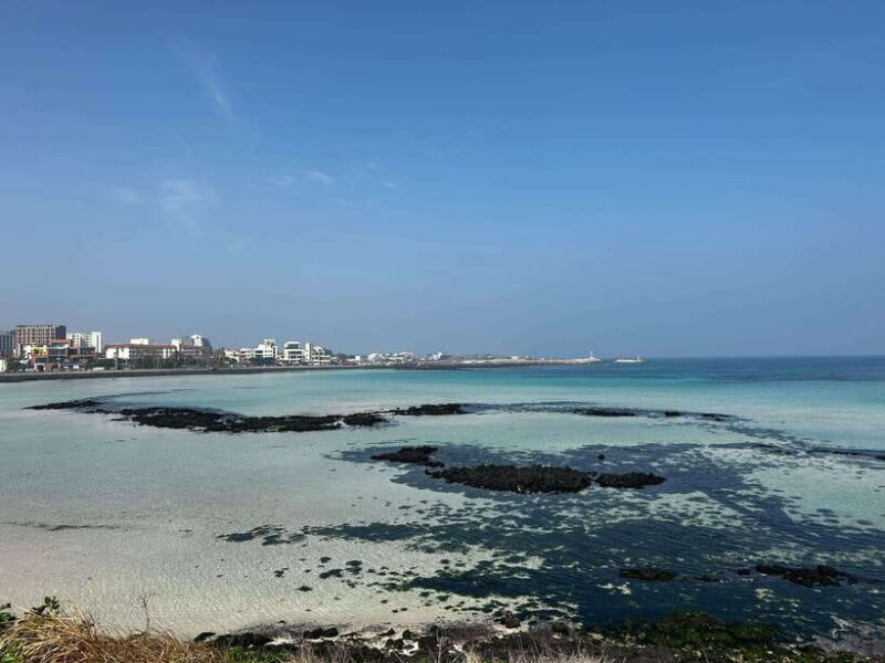 UNESCO Natural Heritage Private Tour by a Certificated Guide - A Deep Dive into the Jeju UNESCO Natural Heritage Tour