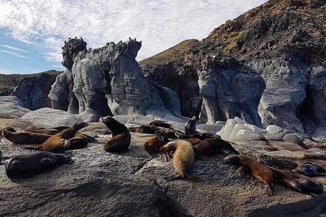 UNESCO World Heritage Site: 1 Day Coronado Island from Loreto Adventure - Key Points