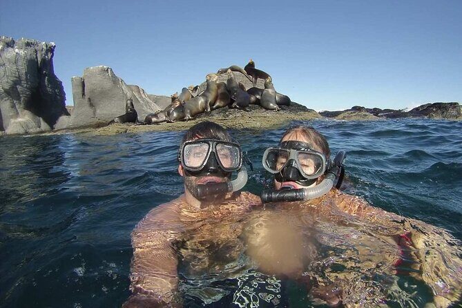 UNESCO World Heritage Site: 1 Day Coronado Island from Loreto Adventure - Practical Considerations and Tips