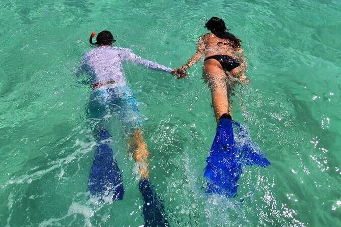 UNESCO World Heritage Site: 1 Day Coronado Island from Loreto Adventure - Who Should Book This Tour?