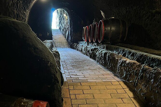 UNESCO World Heritage Wine Day Tour in Tokaj Hungary with Food - Key Points