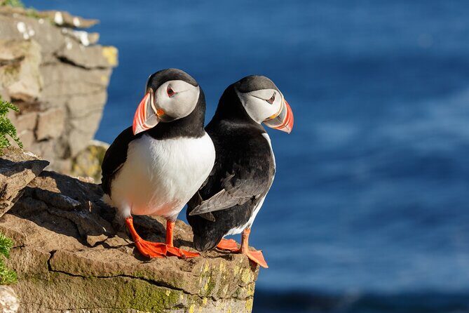 Unforgettable 5-Day Iceland Stopover Tour - Key Points