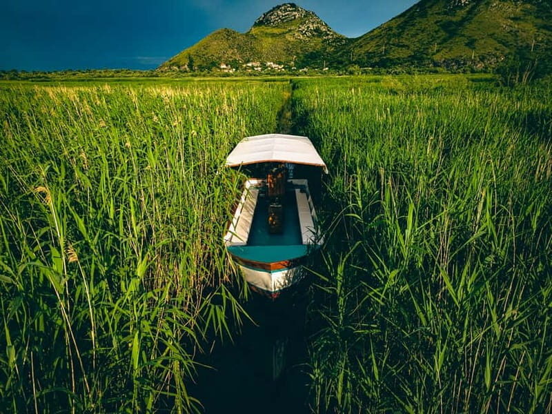 Unforgettable Adventure: Discover SKADAR LAKE - Guided Tour - A Detailed Look at the Experience