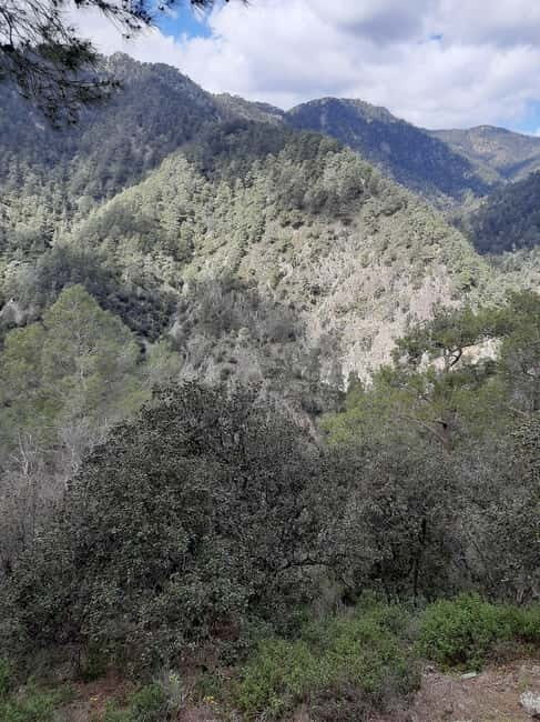 Unforgettable day on safari from Paphos to the Troodos mountains - The Practicalities: What You Need to Know