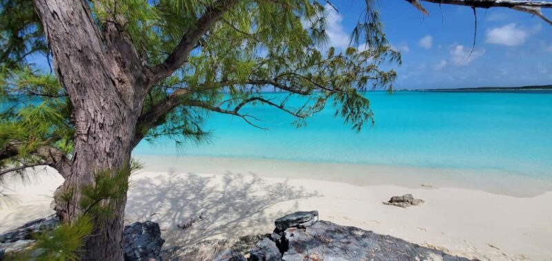 Unforgettable Land Tour on Long Island Bahamas - The Sum Up: Who Will Find the Most Value
