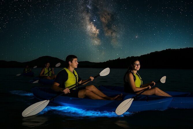 Unforgettable One Day Bioluminescent Kayak Adventure in Vieques - Unforgettable One Day Bioluminescent Kayak Adventure in Vieques